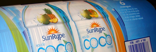 sunrypecococropped