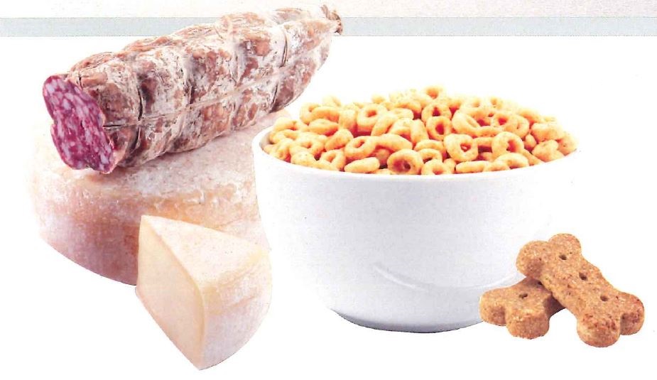 meat and cheese
